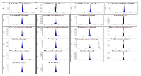 펜타닐유사체류 표준물질(10 ng/mg) 첨가한 소변 분석 크로마토그램
