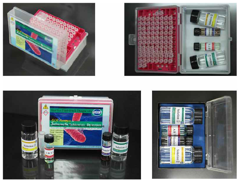 유해미생물 검출을 위한 발색 PCR Kit 모식도