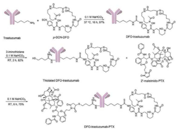 Paclitaxel-Herceptin-DFO conjugate의 합성 과정