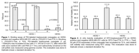 Paclitaxel-Herceptin-DFO의 세포 binding 및 독성 평가 결과