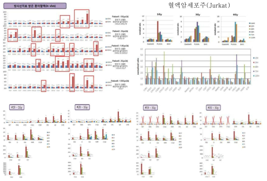 방사선 선량별 시간별 조사 후 선별 유전자 qPCR 방법을 통한 발현 분석