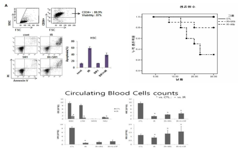 in vivo 마우스 실험을 통하여 SR1 처리군에서 생존이 증가 분석