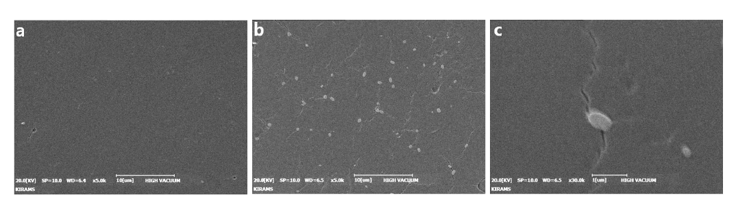 제조된 히알루론산 나노전달체의 형상. a) 히알루론산의 SEM (X5k), b) 히알루론산 나노전달체의 SEM (X5k), c) 히알루론산 나노전달체의 SEM (X30k)