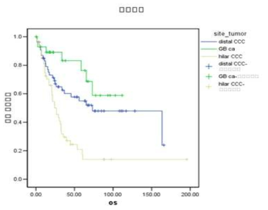 근치적으로 절제된 간외 담도암 환자의 생존 곡선