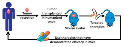 PDTX 치료반응예측모델의 도식 (Adapted from Cancer Letters 344 (2014) 1–.12)