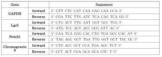 PCR primer sequences