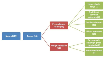 Composition of the human colonic organoid library