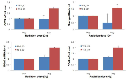2D/3D culture에서 radiation에 의한 유전자 변화 비교