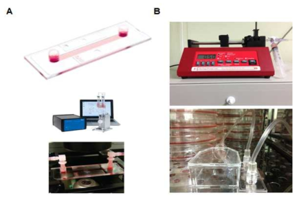 Microfluidic system 구성