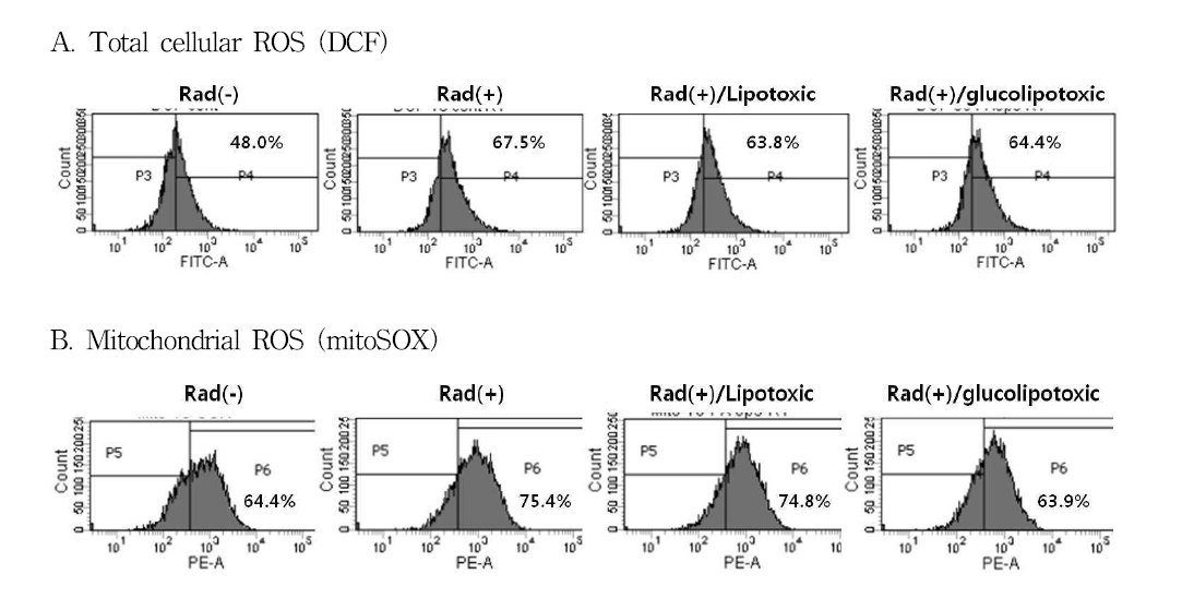 방사선 조사와 대사 스트레스 조건에 따른 세포내 활성 산소의 변화 (ROS: reactive oxygen species, Rad: radiation 10 Gy, lipotoxic: palmitate 0.5 mM, glucolipotoxic: glucose 30 mM/palmitate 0.5 mM)