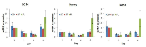 Stem cell marker의 day별 발현양 변화