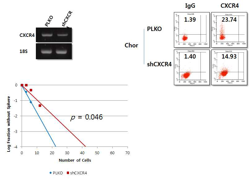 DTC 세포의 self-renewal 활성 측정을 위한 limiting-dilution assay