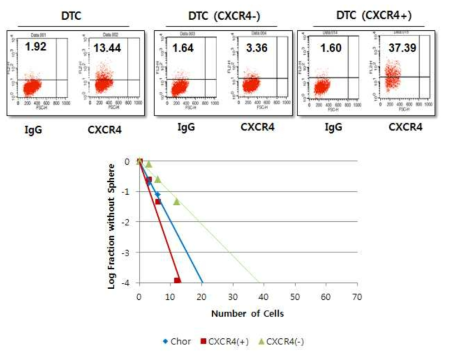 DTC 세포의 FACS 분석 (위쪽 패널)과 limiting-dilution assay (아래쪽 패널)