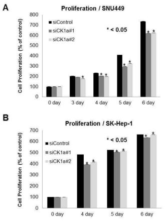 Proliferation assay for cell lines. In both SNU449 (A) and SK-Hep-1 (B) cell lines, the activities of proliferation were restricted after CK1α knock-down