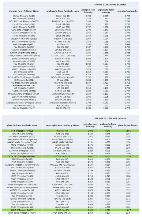 Proteins list of altered phosphorylation by Phspho explore antibody assay in control and CK1α knock-down SNU449 cell lines