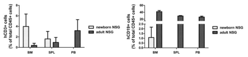 Comparison of Human cell reconstitution in newborn vs adult NSG mice. Mononuclear cells were isolated at twelve weeks after transplantation and were stained with anti-hCD45, anti-hCD3 and anti-hCD3 antibody. Data are means ± SEM and representative of four mice per group, excluding lowest values (n=5)