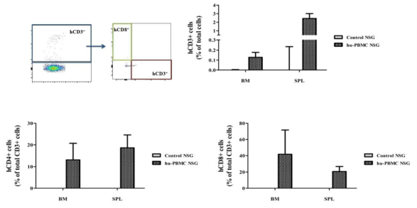 Human T cell reconstitution of NSG mice transplanted with hu PBMC. Mononuclear cells derived from bone marrow, spleen tissues of humanized NSG mice were isolated at 16 days after transplantation and were stained with anti-hCD3, anti-hCD4 and anti-hCD8 antibody. The details were described in Materials and methods and data are means ±SEM