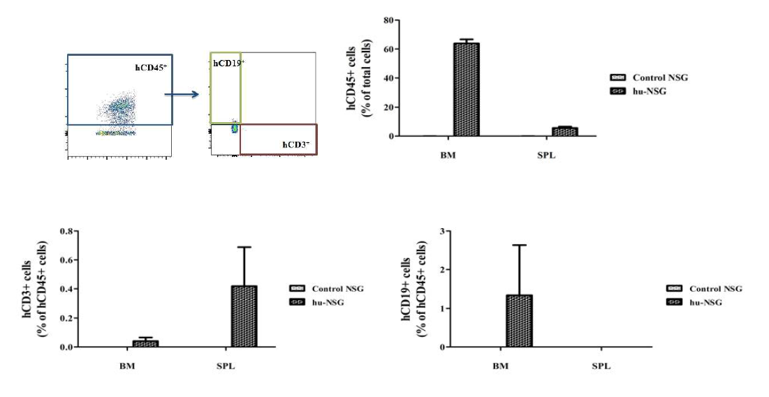 Human cell reconstitution of NSG mice transplanted with hCD34+ cells. Mononuclear cells derived from bone marrow, spleen tissues of humanized NSG mice were isolated at 17 weeks after transplantation and were stained with anti-hCD45, anti-hCD3 and anti-hCD19 antibody. The details were described in Materials and methods and data are means ± SEM (n=4 for Control NSG and 5 for hu-NSG)