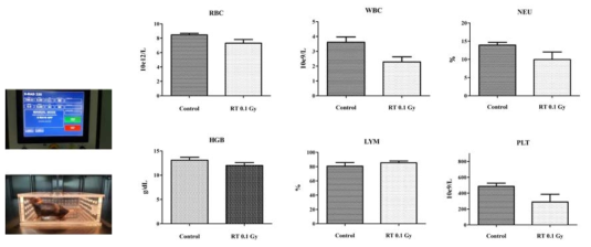 Comparison of blood cells counts after low dose radiation 96hr after 0.1 Gy radiation, changes of blood cells were measured using VetScan HM5 according to the manufacture’s instructions. The data are means ± SEM of 2 (control) and 4 (hu-NSG) mice per group