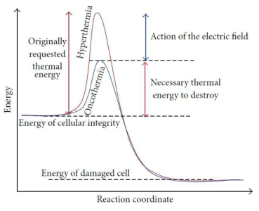 Oncothermia needs less thermal energy to make the same distortion than the classical hyperthermia does. Part of the thermal energy is replaced by the electric field