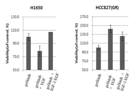 IGF-1과 gefitinib 감수성