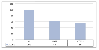 MTT assay for EGFR siRNA and COX-2 siRNA transfection in HCC827 cells