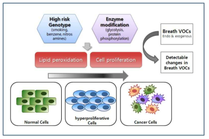 암에서 Breath Test에 의한 VOCs의 검출 원리