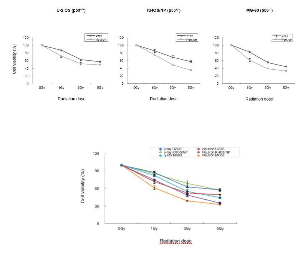 MTT assay: 세포주에 따른 저전리 방사선과 고전리 방사선 조사