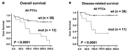 유두암에서 TERT 유전자 변이에 따른 생존 (Liu T et al. Oncogene 2013;33:4978-84에서 발췌)