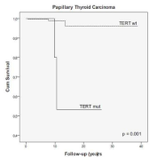 유두암에서 TERT 유전자 변이에 따른 생존 (Melo M et al. J Clin Endocrinol Metab 2014;99:E754-65에서 발췌)