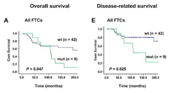 여포암에서 TERT 유전자 변이에 따른 생존 (Wang N et al. Cancer 2014;120:2965-79에서 발췌)