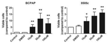 TERT 억제제에 따른 세포 소멸 증가 (Caspase-3 분석 방법)