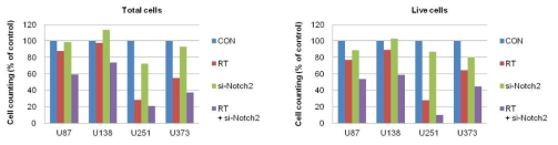 Cell counting assay after knockdown of Notch 2 expression in each group(non treatment group: con, radiation alone:RT, siRNA for Notch2 treatment: si-Notch2, combination of radiation and siRNA treatment: RT+siNotch2)