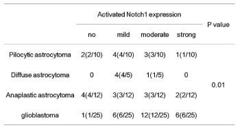 Activated Notch1 expression according to WHO grade in glioma