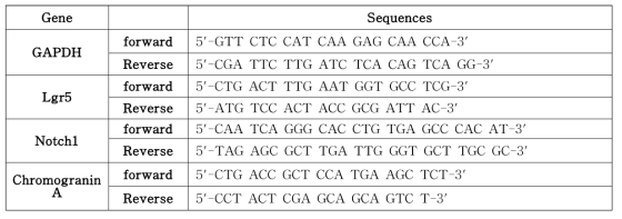 PCR primer sequences