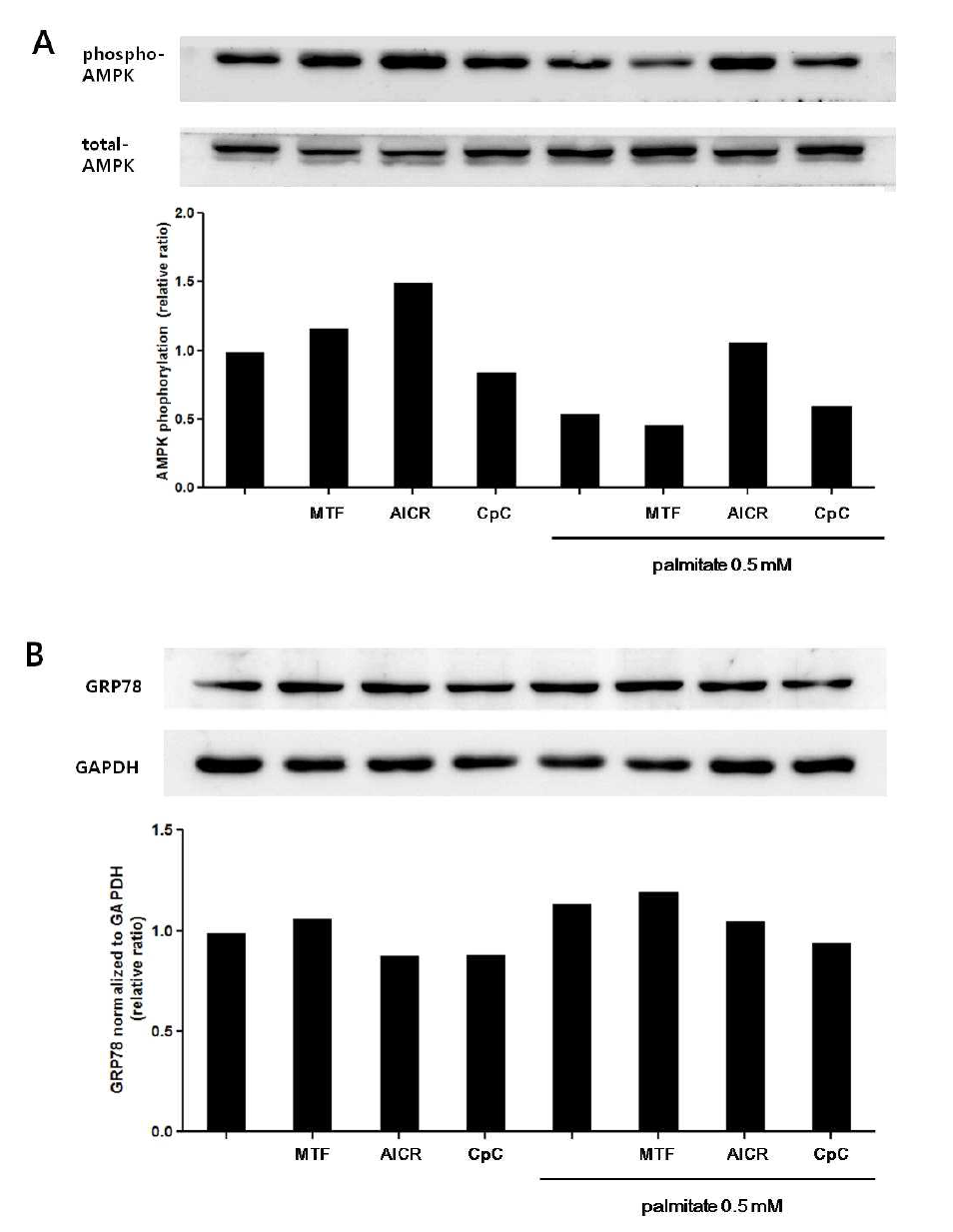 MIN6 cell의 AMPK phosphorylation과 GRP78 expression에 대한 glucolipotoxic stress와 metformin의 효과 (A) AMPK phosphorylation (B) GRP78 expression (MTF: metformin 1mM for 24 h, CpC: Compound C 10 μM for 2 h, AICR: AICAR 1mM for 24 h)