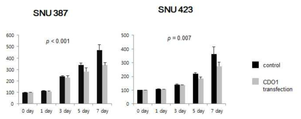 Cell proliferation assay. Cell proliferation is suppressed after CDO1 hyperexpression in both cell lines compared to the control cell lines