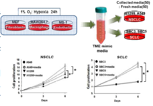 Cell growth of NSCLC and SCLC contained with TME mimic conditioned media