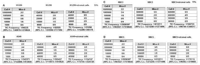 TIC frequency of SBC5 single and SBC5+stromal cells