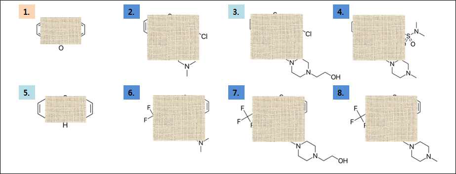 NCC-FD의 derivative structure