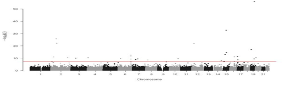 Manhattan plot of genotyped SNPs