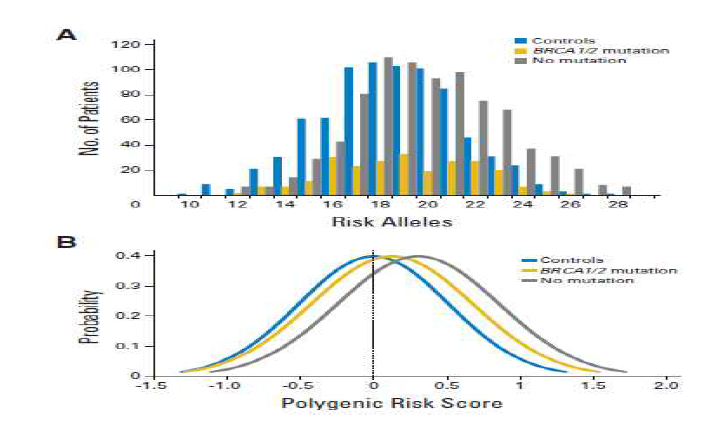 유방암 환자에서 polygenic risk score의 분포