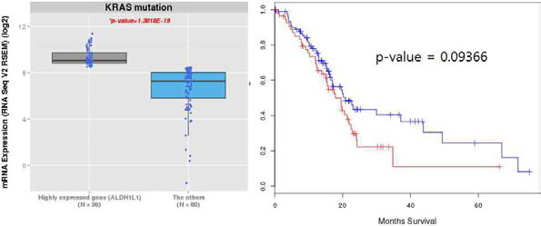 췌장암 환자에서 KRAS mutation 과 ALDH1 expression, ALDH1 발현에 따른 생존률 비교
