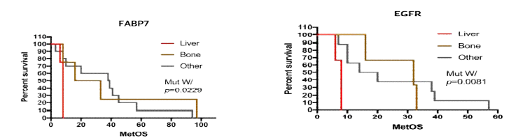 The metastatic overall survival curve with the combination of EGFR and FABP7 gene mutation in liver metastatic RCC