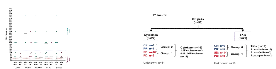 The grouping diagram according to A. extreme survival prognoses and B. therapeutic responses based on RECIST criteria v1.1