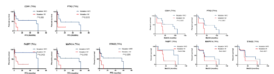 The Comparison of A) PFS and B) OS curves according to the presence of either CDH1, PTK2, MAPK14, FABP7 and STAG2 gene mutation in patients with mRCC treated with targeted therapy