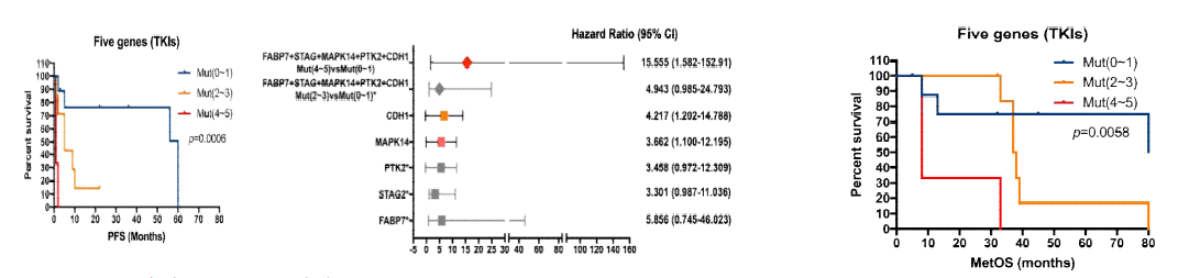 (A) PFS and (B) OS curves according to the combinations of the presence of these CDH1, PTK2, FABP7, MAPK14, STAG2 gene mutations