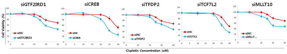 Master regulator siRNA transfected 3D cultured A549 cells had increased sensitivity to cisplatin. siRNA transfected cells were treated for 48 hours with various concentrations of cisplatin and viability was evaluated using CellTiter-Glo 3D Cell Viability assay