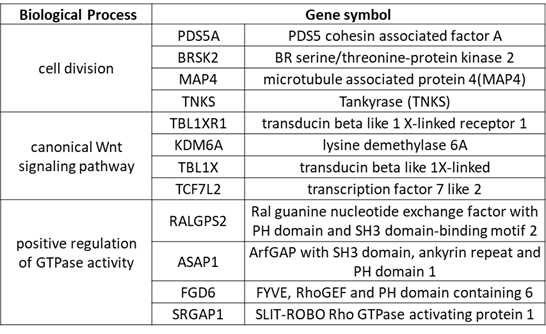 List of oncogenic genes in each GO term