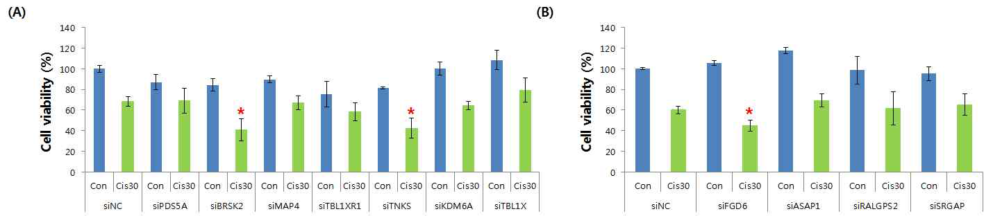 siRNA transfected 3D cultured A549 cells had increased resistance to cisplatin. siRNA transfected cells A549 cells were treated for 48 hours with 25μM of cisplatin and viability was evaluated using CellTiter-Glo 3D Cell Viability assay